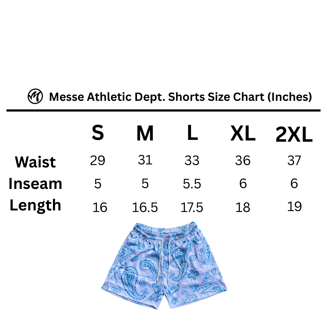 Blue Paisley Mesh Shorts